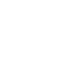 Dell low transparency partner logo